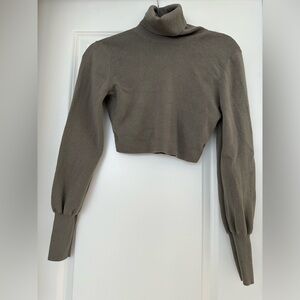 Aritzia Turtleneck Sweater